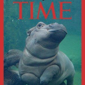 Meet your Posher, Margie